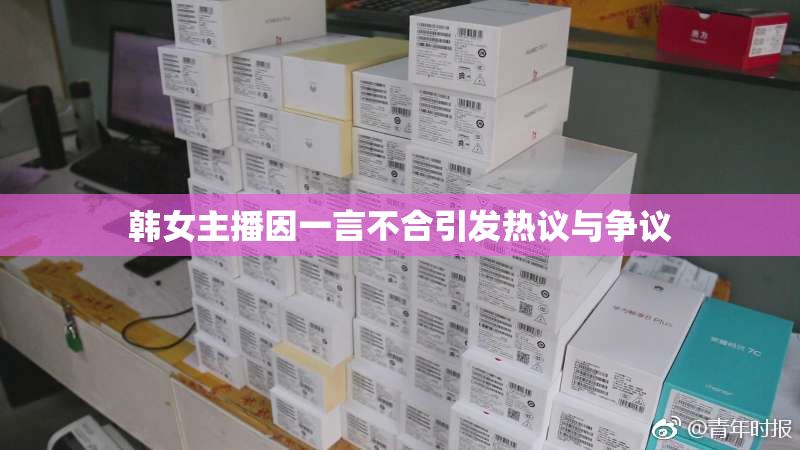 韩女主播因一言不合引发热议与争议