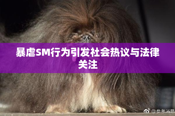 暴虐SM行为引发社会热议与法律关注
