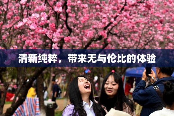 清新纯粹，带来无与伦比的体验