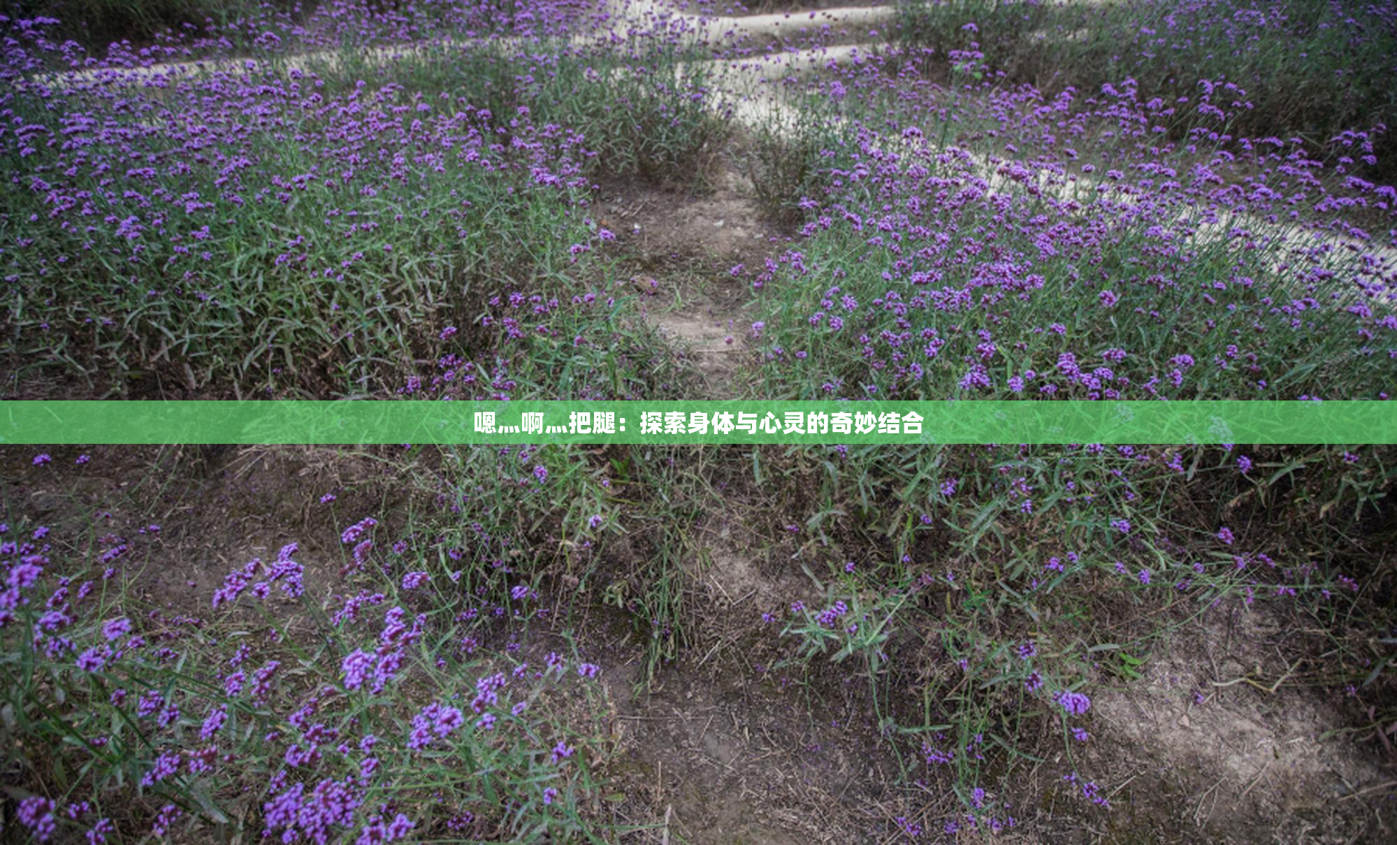 嗯灬啊灬把腿：探索身体与心灵的奇妙结合