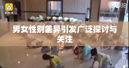 男女性别差异引发广泛探讨与关注