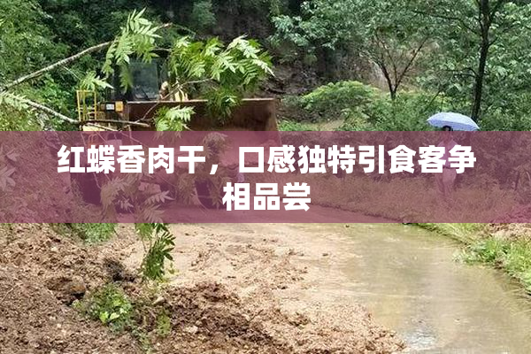 红蝶香肉干，口感独特引食客争相品尝