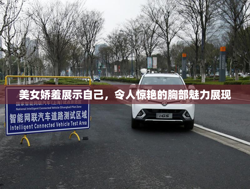 美女娇羞展示自己，令人惊艳的胸部魅力展现