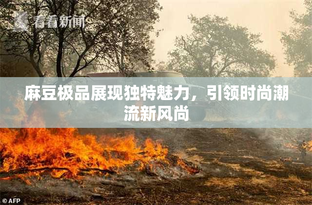 麻豆极品展现独特魅力，引领时尚潮流新风尚