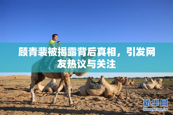 顾青裴被揭露背后真相，引发网友热议与关注