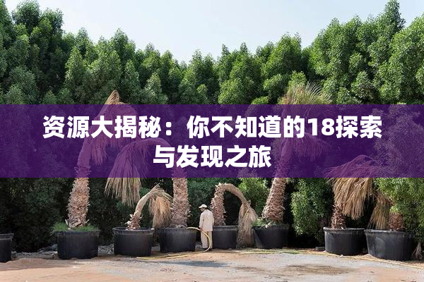 资源大揭秘：你不知道的18探索与发现之旅