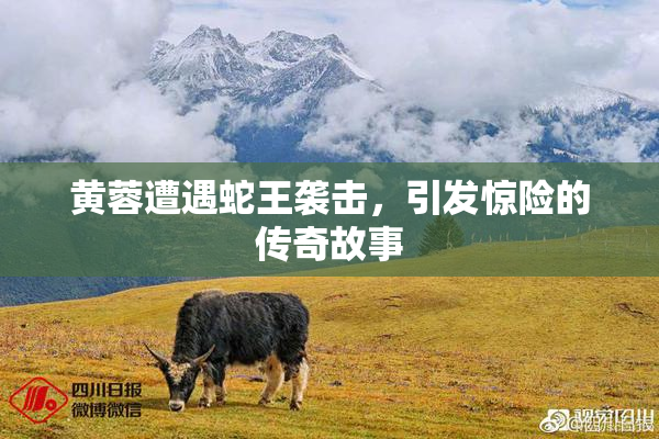 黄蓉遭遇蛇王袭击，引发惊险的传奇故事