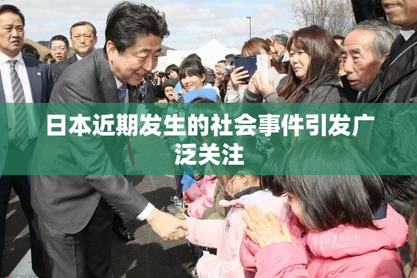 日本近期发生的社会事件引发广泛关注