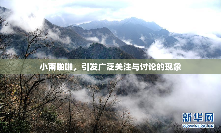 小南啪啪，引发广泛关注与讨论的现象