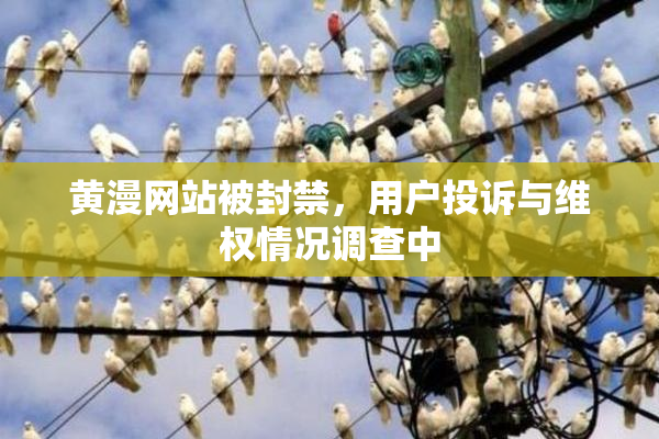 黄漫网站被封禁，用户投诉与维权情况调查中