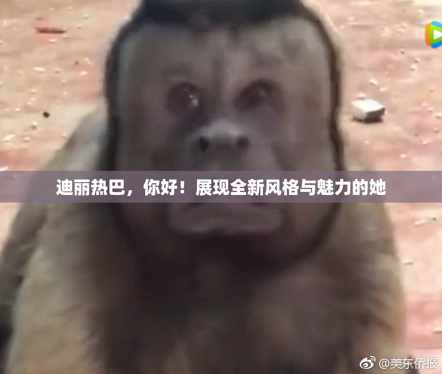 迪丽热巴，你好！展现全新风格与魅力的她