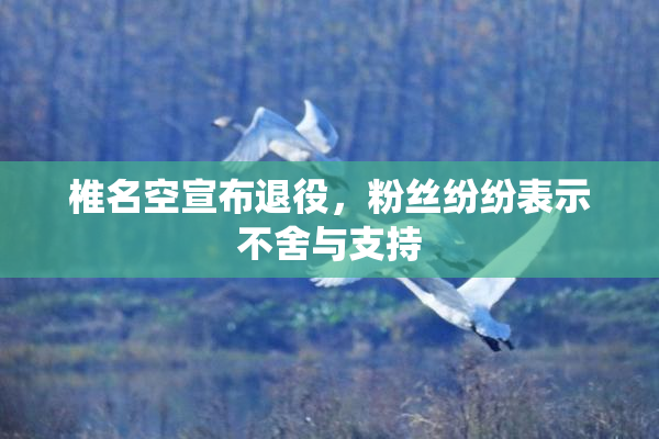 椎名空宣布退役，粉丝纷纷表示不舍与支持