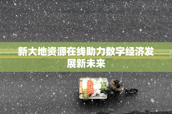 新大地资源在线助力数字经济发展新未来