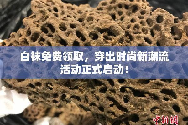 白袜免费领取，穿出时尚新潮流活动正式启动！