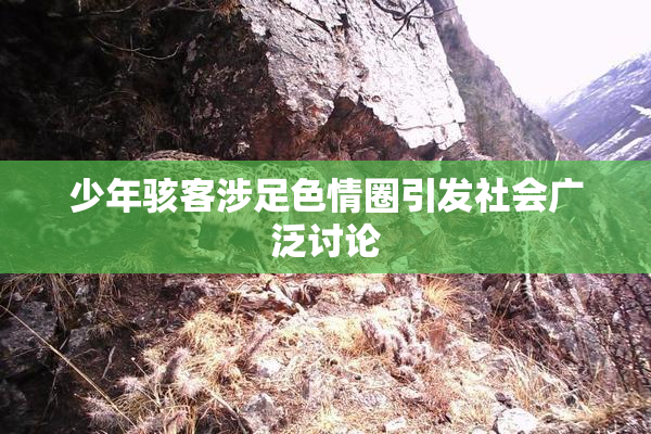 少年骇客涉足色情圈引发社会广泛讨论