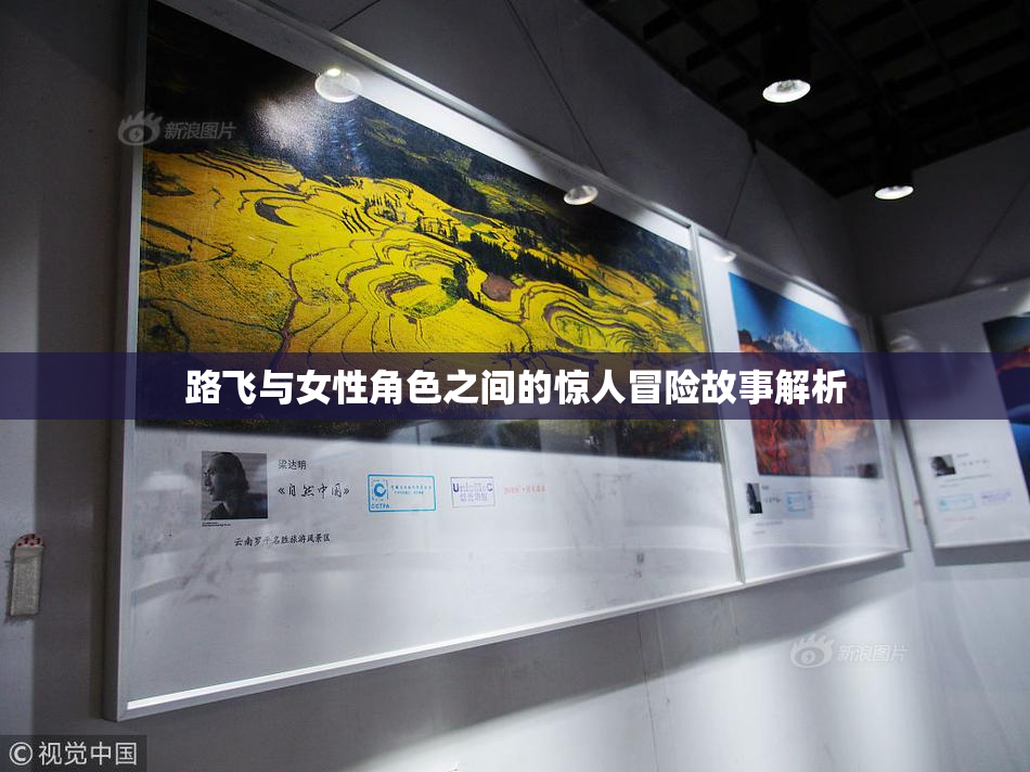 路飞与女性角色之间的惊人冒险故事解析