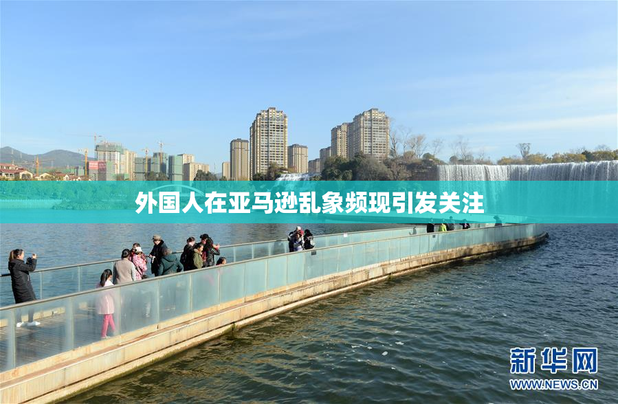 外国人在亚马逊乱象频现引发关注