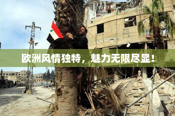 欧洲风情独特，魅力无限尽显！