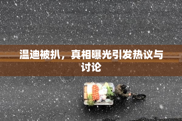 温迪被扒，真相曝光引发热议与讨论