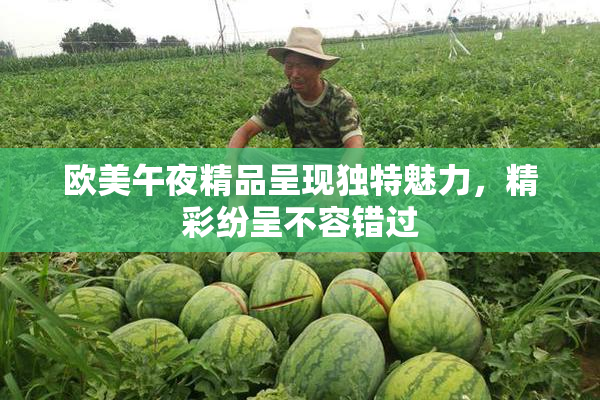 欧美午夜精品呈现独特魅力，精彩纷呈不容错过