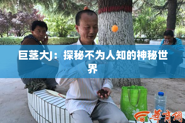 巨茎大J：探秘不为人知的神秘世界