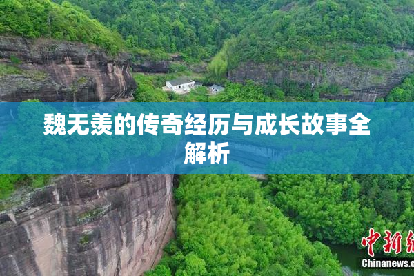 魏无羡的传奇经历与成长故事全解析