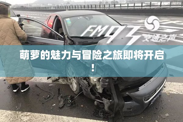 萌萝的魅力与冒险之旅即将开启！