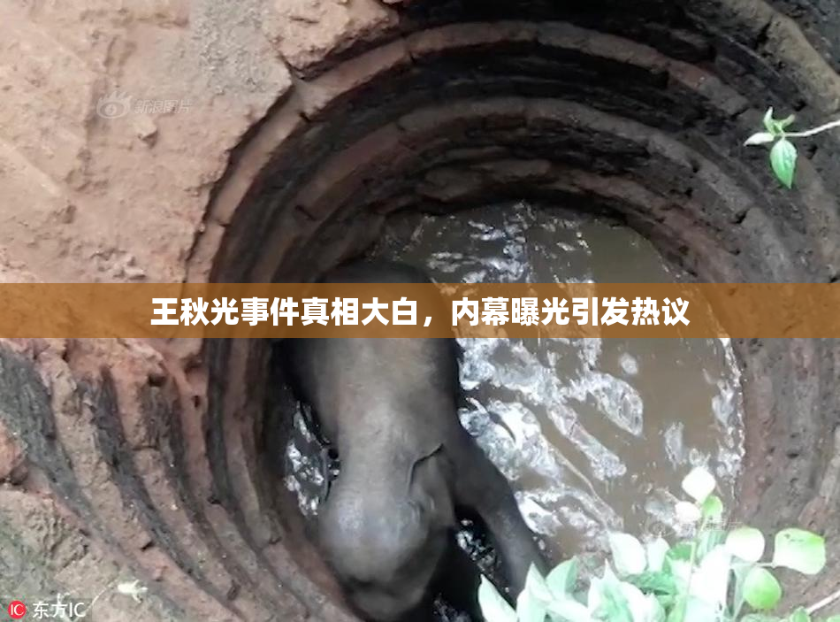 王秋光事件真相大白，内幕曝光引发热议