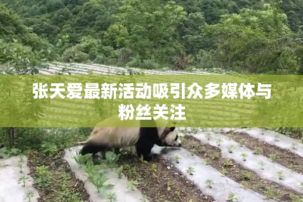张天爱最新活动吸引众多媒体与粉丝关注