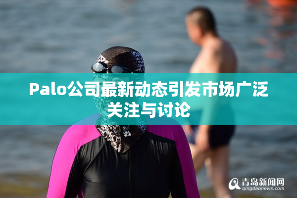 Palo公司最新动态引发市场广泛关注与讨论