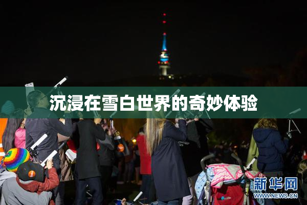 沉浸在雪白世界的奇妙体验
