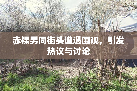 赤裸男同街头遭遇围观，引发热议与讨论