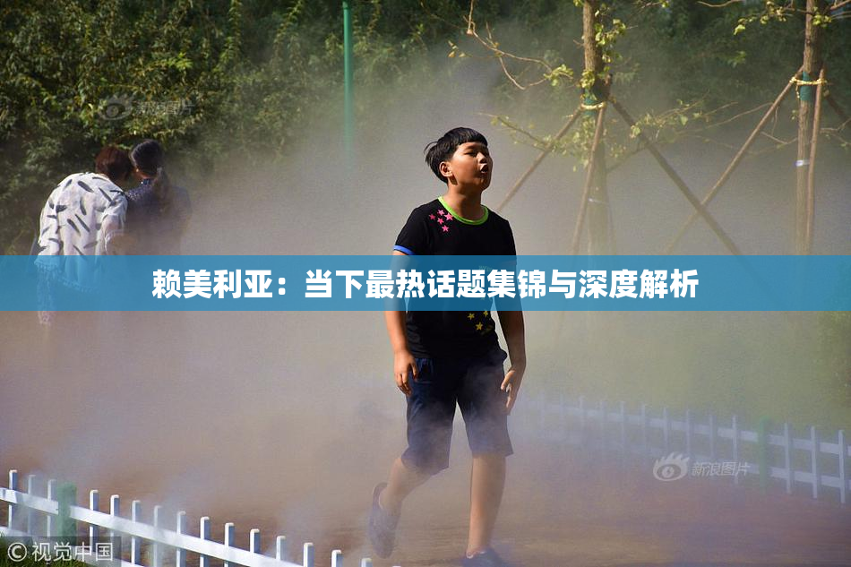 赖美利亚：当下最热话题集锦与深度解析