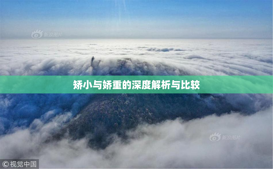 矫小与娇重的深度解析与比较