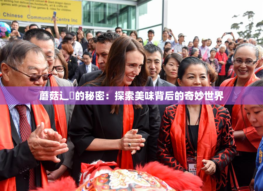 蘑菇辶喿的秘密：探索美味背后的奇妙世界