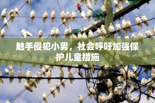 触手侵犯小男，社会呼吁加强保护儿童措施