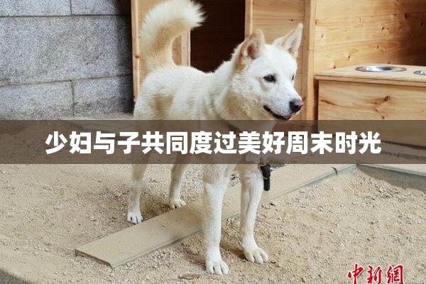 少妇与子共同度过美好周末时光
