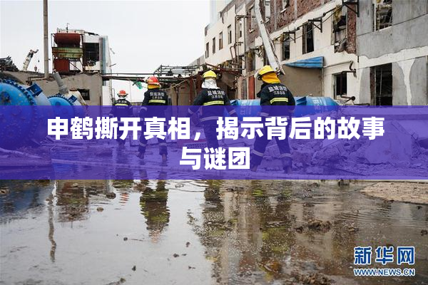 申鹤撕开真相，揭示背后的故事与谜团