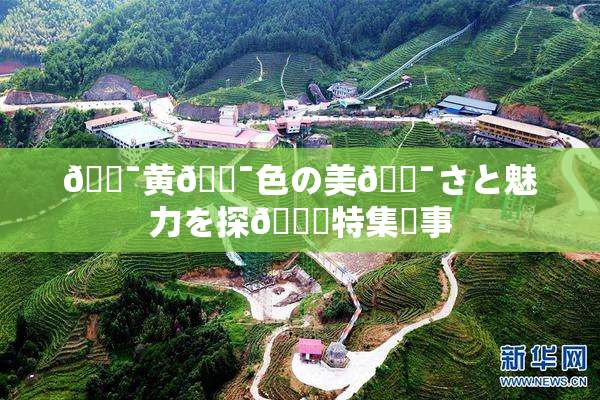 🔯黄🔯色の美🔯さと魅力を探🌃特集記事