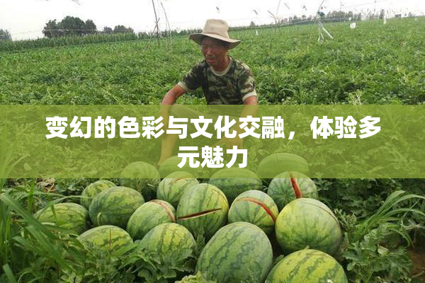 变幻的色彩与文化交融，体验多元魅力