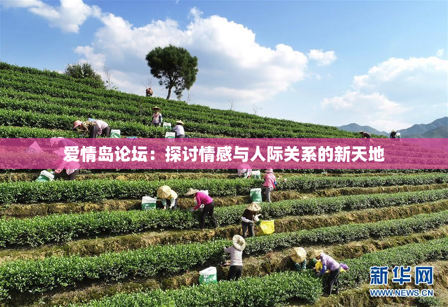 爱情岛论坛：探讨情感与人际关系的新天地