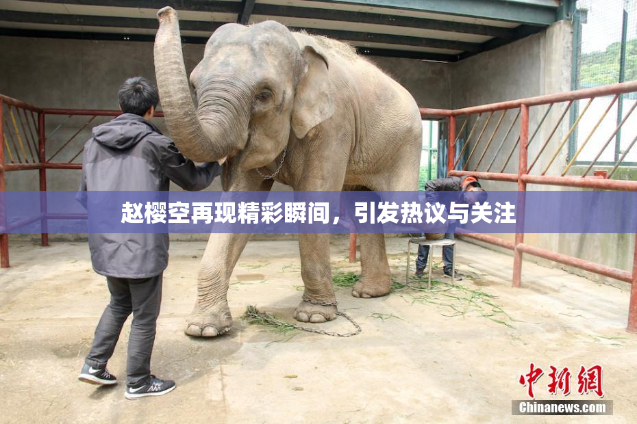 赵樱空再现精彩瞬间，引发热议与关注