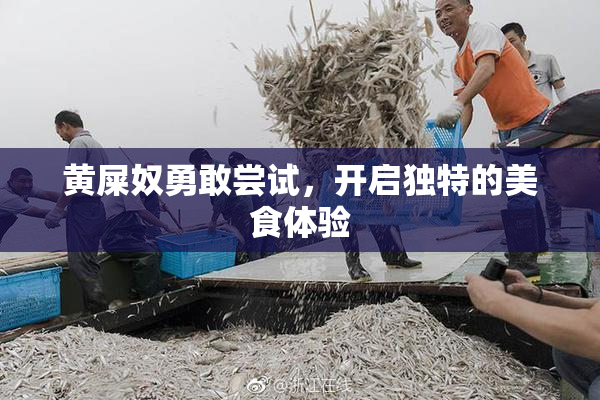 黄屎奴勇敢尝试，开启独特的美食体验
