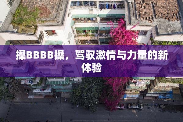 搡BBBB搡，驾驭激情与力量的新体验