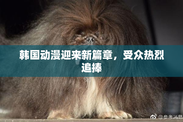 韩国动漫迎来新篇章，受众热烈追捧