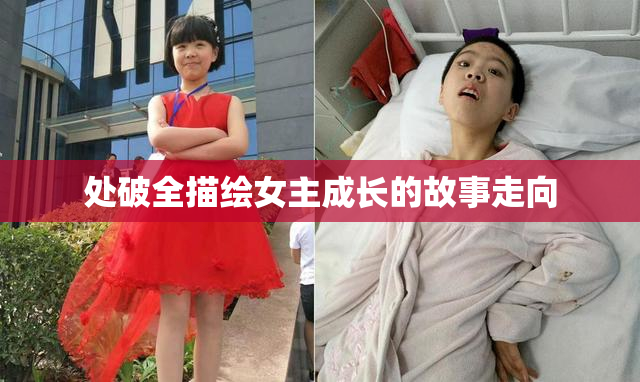 处破全描绘女主成长的故事走向