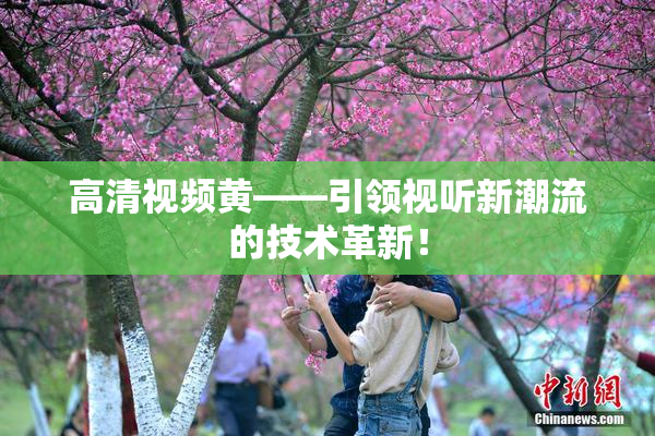 高清视频黄——引领视听新潮流的技术革新！