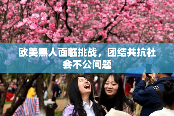 欧美黑人面临挑战，团结共抗社会不公问题