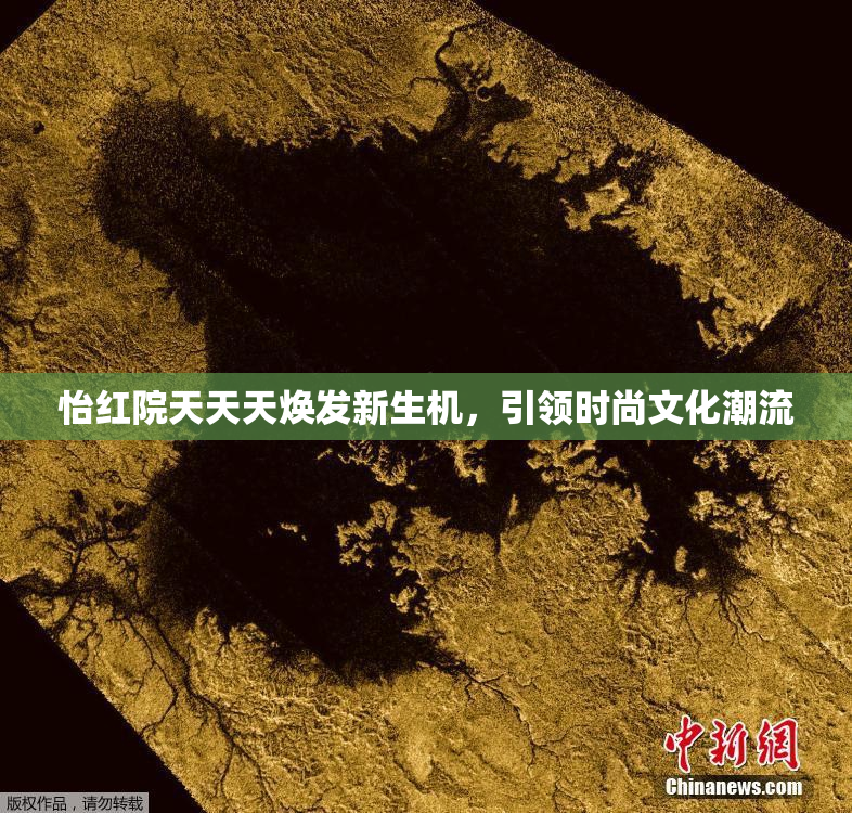怡红院天天天焕发新生机，引领时尚文化潮流