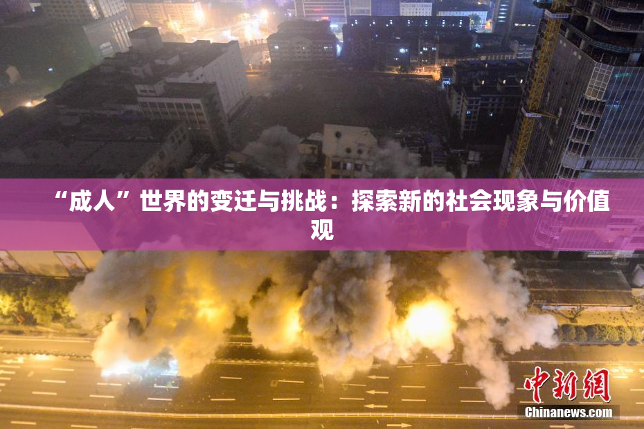 “成人”世界的变迁与挑战：探索新的社会现象与价值观
